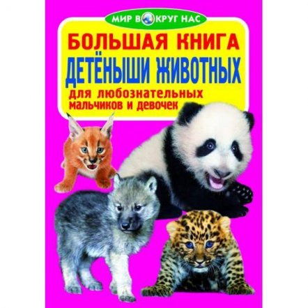 Книга большая Мир вокруг нас 22574 Украина