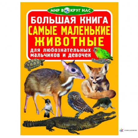  Книга мир вокруг нас Самые маленькие животные 753926