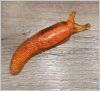 Липучка-слизняк гигантский тянется и липнет оранжевый 13 см 1102-159
