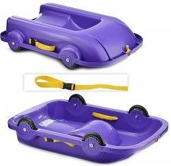 Ледянка Санки универсальные 2 в 1 06550 DOLONI-TOYS фиолетовые